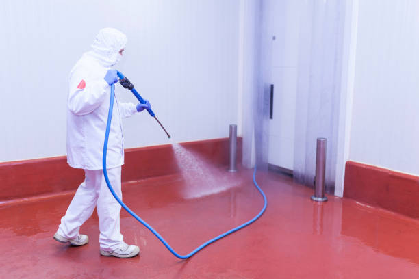 Best Warehouse Floor Cleaning in Hickory Creek, TX
